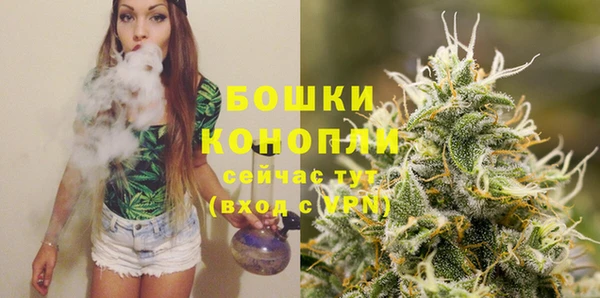 гидра Нефтегорск