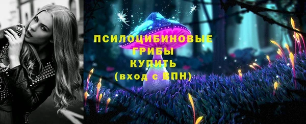 PSILOCYBIN Нефтекумск