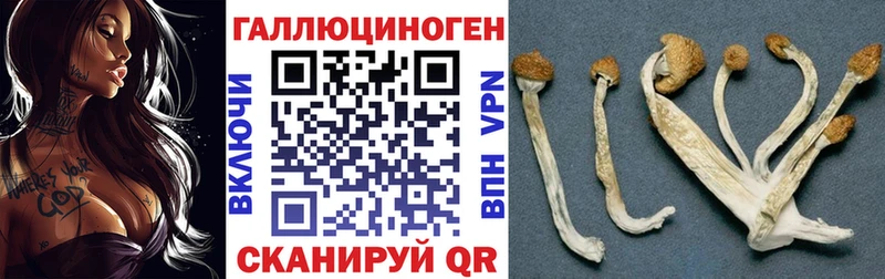 Галлюциногенные грибы прущие грибы  МЕГА зеркало  Мышкин 